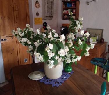 Bassano del Grappa Bed & Breakfast | Poggio del Sole