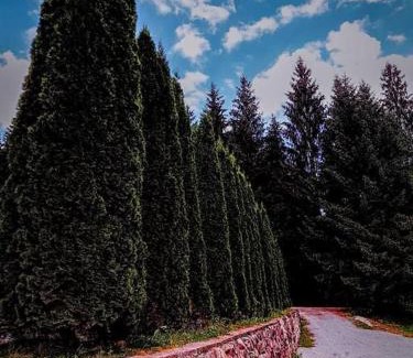 Pietroasa House | Poiana - Apuseni Mountains