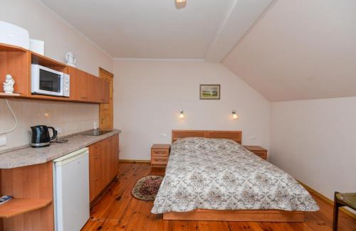 Druskininkai House | Poilsis prie Dineikos parko