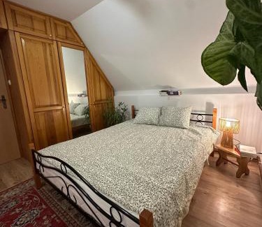 Bielsk Podlaski House | Pokój Cień Paproci