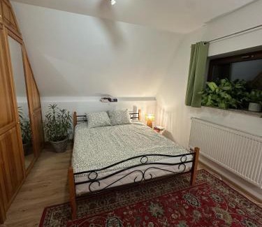 Bielsk Podlaski House | Pokój Cień Paproci