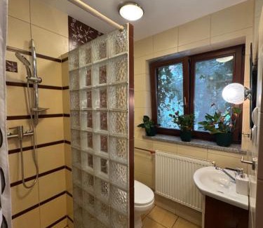 Bielsk Podlaski House | Pokój Cień Paproci