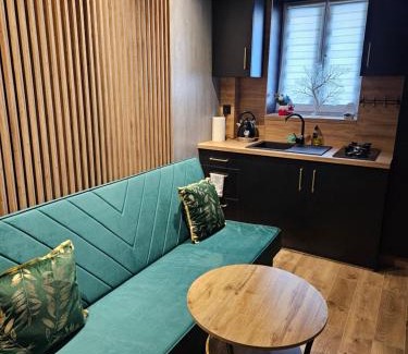 Mieroszow Apartment | Pokój Sewi 1