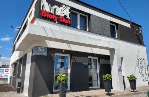Rumia House | Pokoje Gościnne Biały Słoń