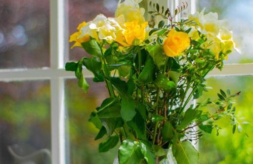 Ammanford Bed & Breakfast | Pontyclerc Farm House Bed and Breakfast