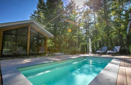 Municipality of Rhenen House | Pool Lodge - Vakantiepark De Thijmse Berg