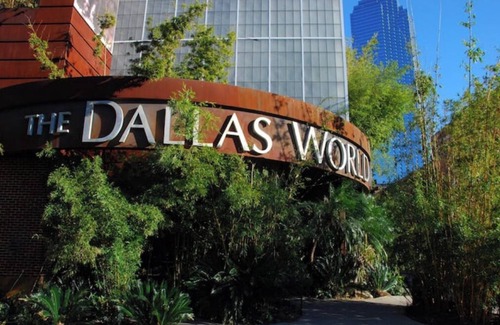 Grand Prairie House | Poolside Oasis. 13 Beds Bar Celebration Station!n