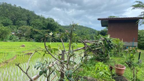 Pai House | Poopha home stay