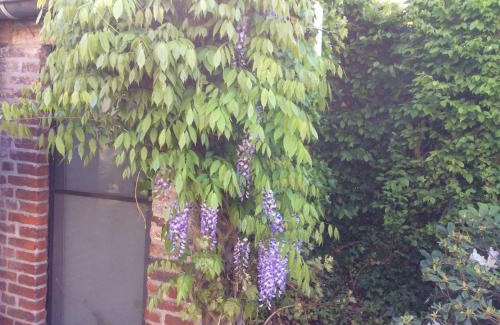 Erwetegem Bed & Breakfast | Poortbossen