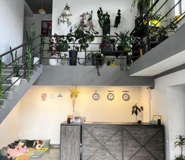 Goris House | Popock Goris