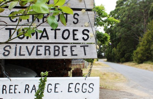 Port Arthur House | Port Arthur Beachfront Retreat