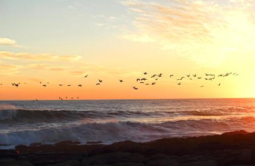 Port Nolloth House | Port Indigo Guest House