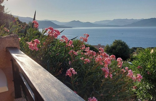 Porto Pollo Apartment | Porto Pollo, 30m2 fully-equipped apartment, air-conditioning, magnificent sea view over Golfe du Valinco