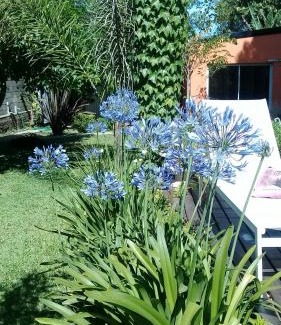 Parana Apartment | Posta Batata