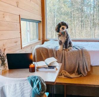 Elkton Other | Postcard Cabins Beaver Creek