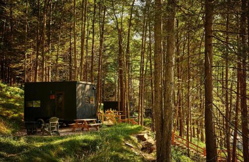 Larue Other | Postcard Cabins Piney Woods