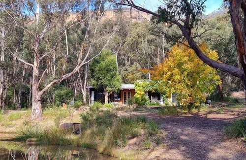 Kanimbla Cottage | Potters Cottage - 100 acres of paradise!