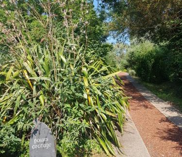 Laugharne Bed & Breakfast | Powis Cottage