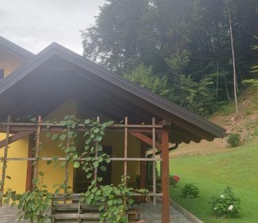 Zalec Apartment | Pr DOLENC