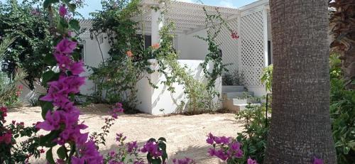 Rabil Apartment | Praia de Chaves Bungalow ,Boavista