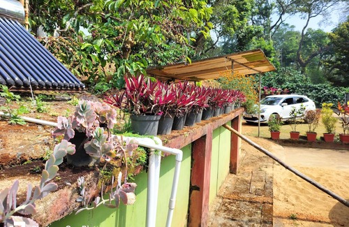 Polibetta House | Praplia Home Stay Ammathi, South Coorg