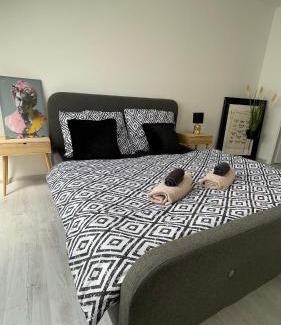 Trnava Apartment | Premier City Apartment & Heart of Downtown & Parking Included