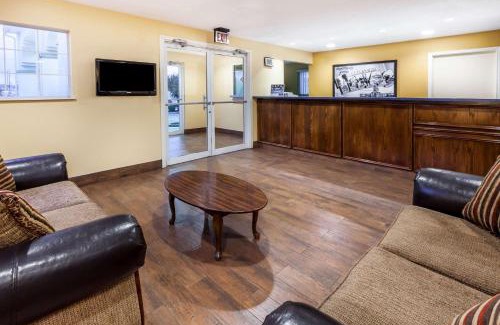 Palestine Hotel | Premier Inn