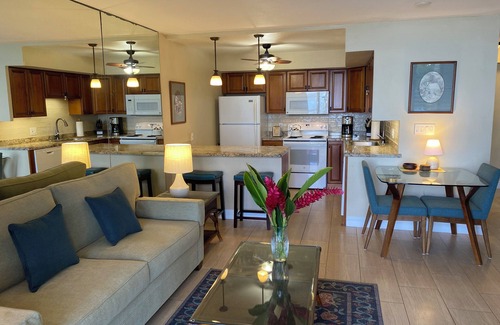 Napili Condo | PREMIERE location of Napili, with 118 EXCEPTIONAL REVIEWS!