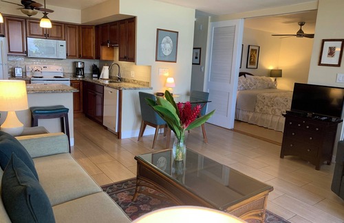 Napili Condo | PREMIERE location of Napili, with 118 EXCEPTIONAL REVIEWS!