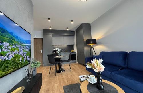 Rzeszow Apartment | Premium Apartments Rzeszów Platinium
