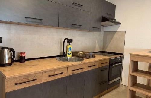 Slavonski Brod Apartment | Prenoćište Šimić