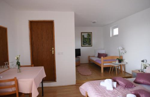 Zupanja Hotel | Prenoćište Džinić