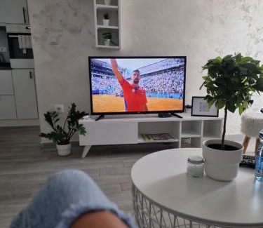 Stara Pazova Apartment | Presidenziale