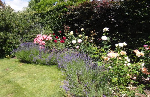 Farley Cottage | Pretty cottage located in an award-winning village