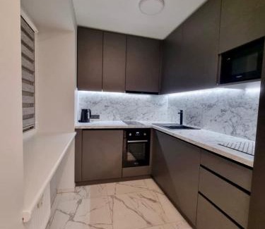 Raseiniai Apartment | Prie Žemaičio Pietinis