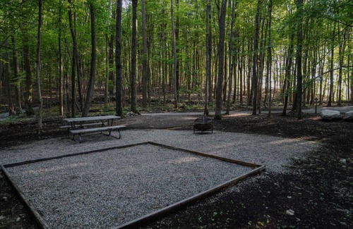 Vernon RV Rental | Primitive Camping Site