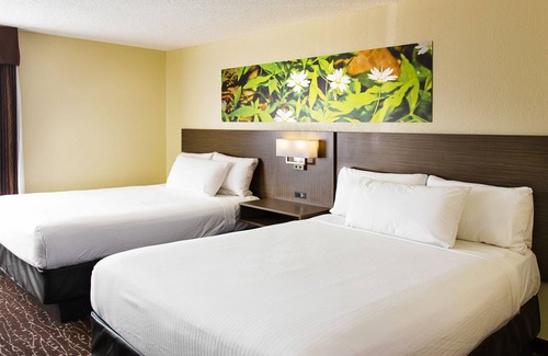 Prince Albert Hotel | Prince Albert Inn