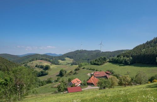 Muehlenbach Apartment | Prinzbachhof