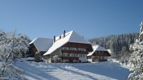 Muehlenbach Apartment | Prinzbachhof