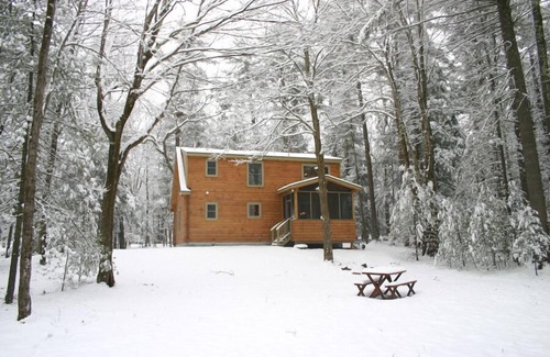 Bearsville Cabin | Pristine Mountaintop Log Cabin in Pine Forest, 1.5 Miles to Town!