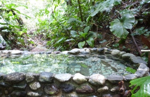 Puerto Jimenez House | PRIVACY-/OceanViews/ClaySPA/POOLS/Sleeps 9/CorcovadoSprings