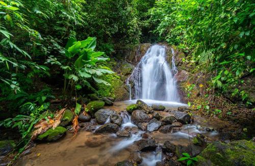 Matapalo House | Privacy-waterfall-pool-sleeps 8-near Beach