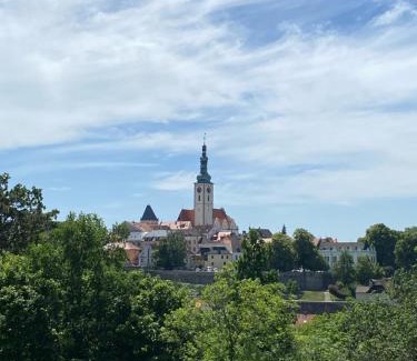 Tabor House | Privat Šmídová Petra