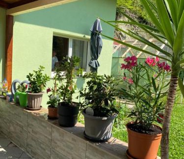 Payerbach Apartment | Privat Zimmer Sanela