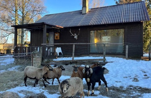 Pedvale Cabin | Private Farm Jakuzzi Sauna in the forest