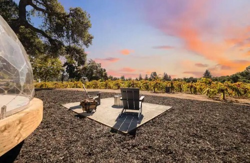 Felton RV Rental | Private Glamping Retreat with 2 Domes Included