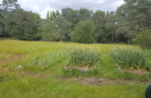 Granite Bay House | Private Lake Flower Farm 100 acres