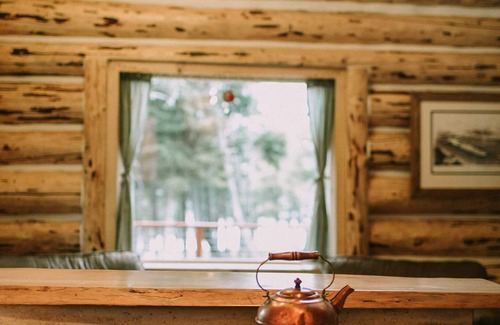 Primrose Cabin | Private Log Home on Kenai Lake!