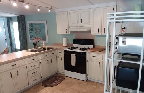 Dunnellon House | Private pool w/tropical Oasis setting and minutes to Rainbow River access
