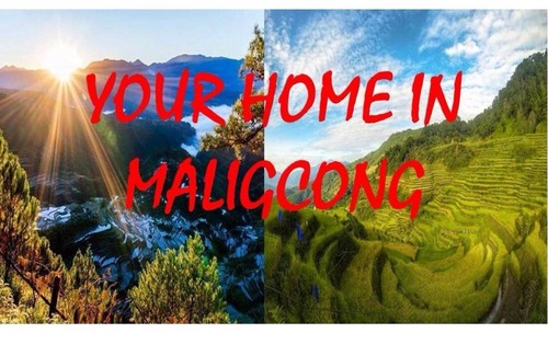 Bontoc Resort | Private room ∙ 6 guests